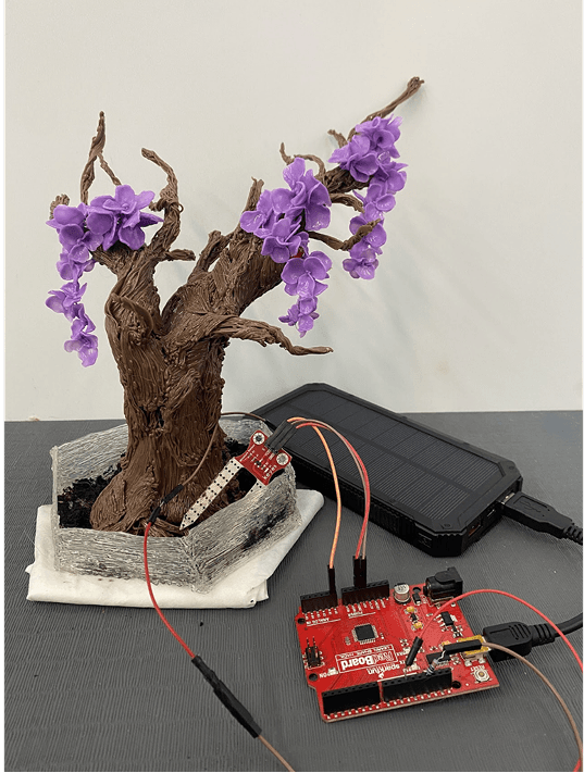 Emma's Tree